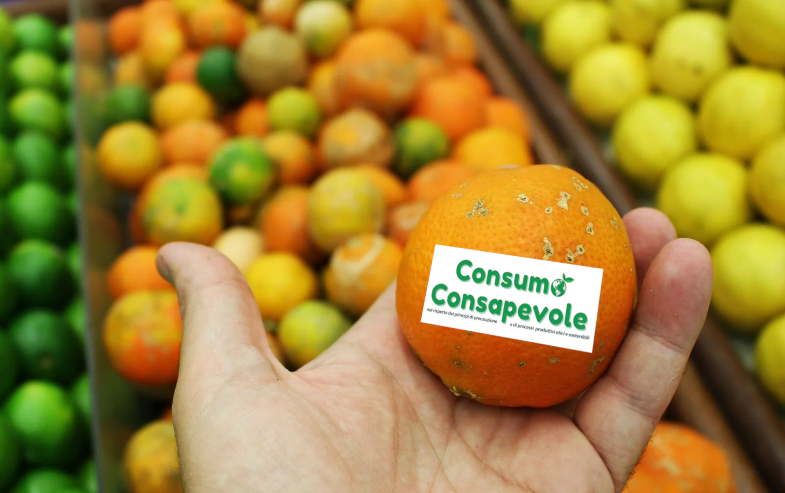 Consumo alimentare: meglio prevenire che sprecare