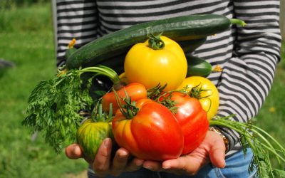 l consumo critico e consapevole nel settore alimentare